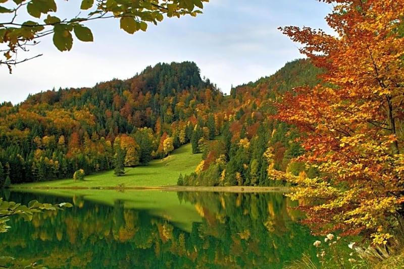 Hotel Restaurant Alatsee image