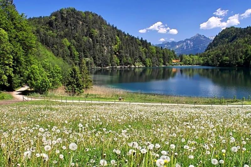 Hotel Restaurant Alatsee image