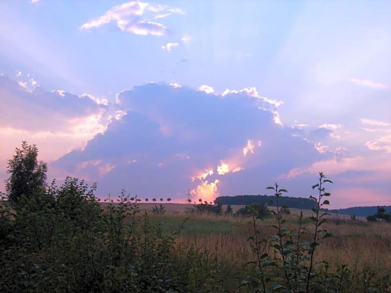 Hotel Freihof image
