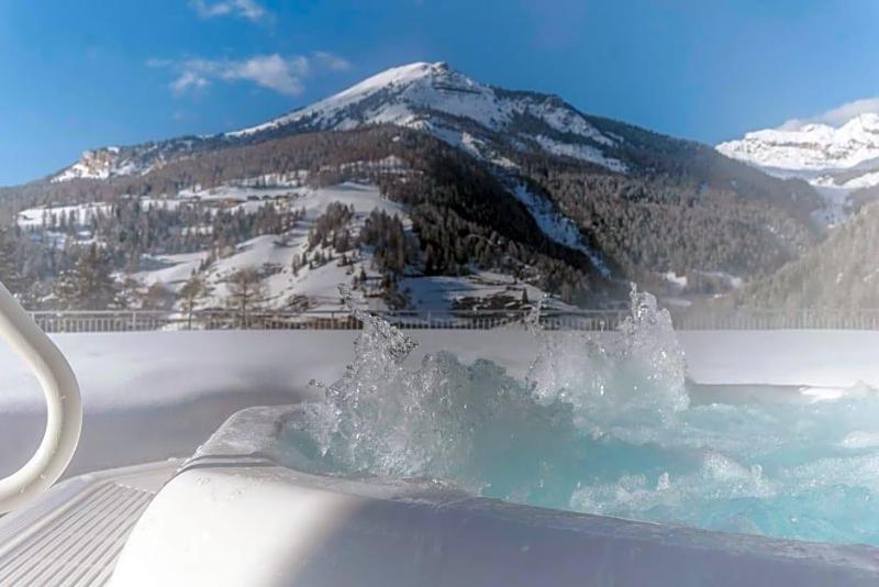 Hotel Chalet Dlaces image