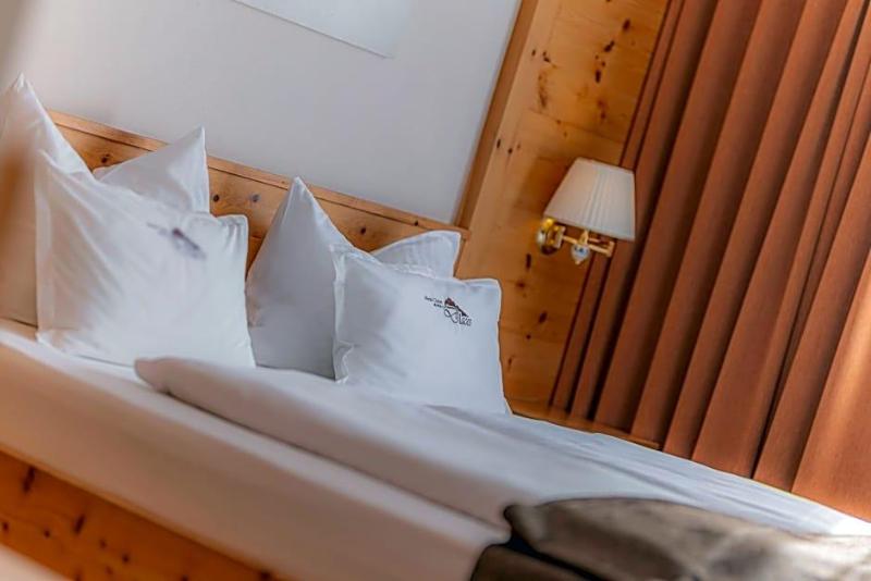 Hotel Chalet Dlaces image