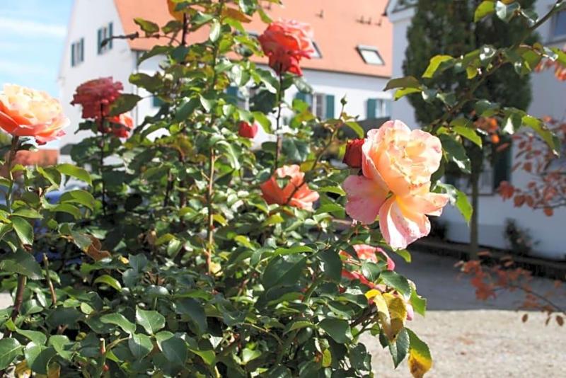 Hotel Gasthaus Wangerhof image
