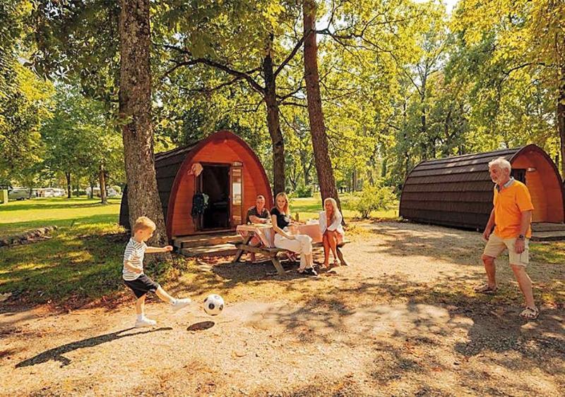 Azur Waldcamping Auwaldsee image