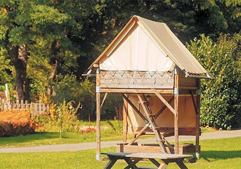 Azur Waldcamping Auwaldsee image