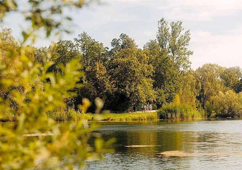 Azur Waldcamping Auwaldsee image