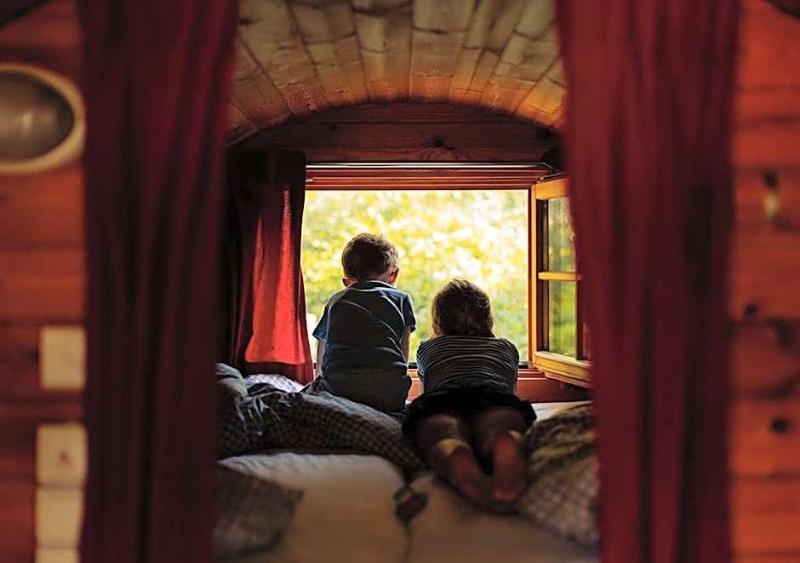 Azur Waldcamping Auwaldsee image