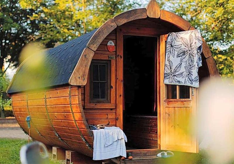 Azur Waldcamping Auwaldsee image