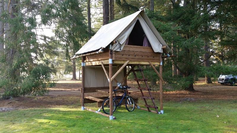 Azur Waldcamping Auwaldsee image