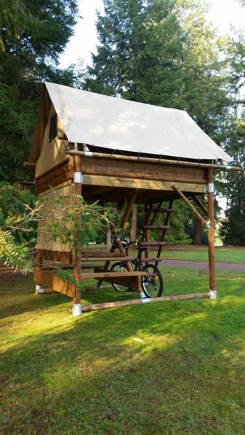Azur Waldcamping Auwaldsee image