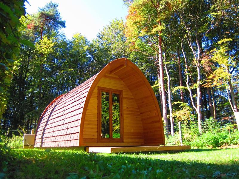 Azur Waldcamping Auwaldsee image