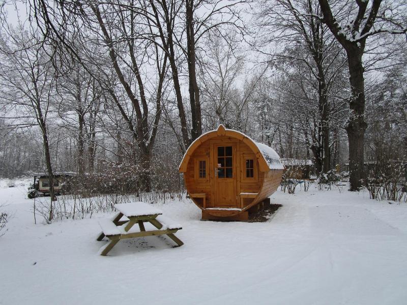 Azur Waldcamping Auwaldsee image