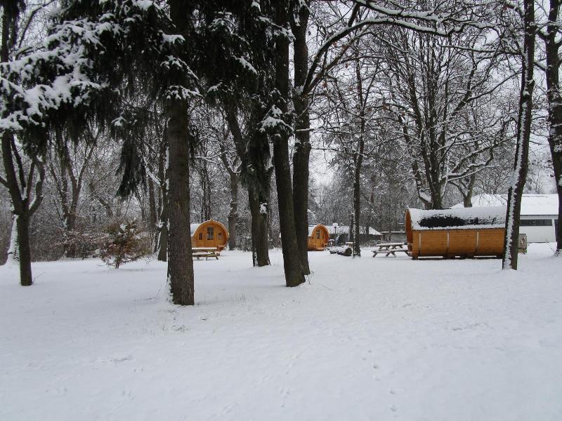 Azur Waldcamping Auwaldsee image
