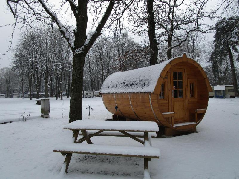 Azur Waldcamping Auwaldsee image