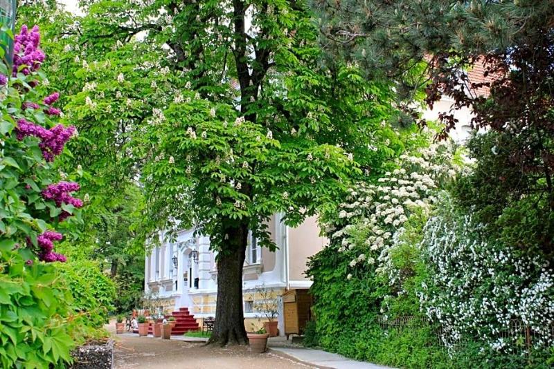 Hotel Waldfriede image