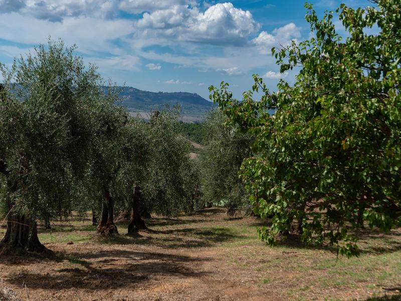 Il Miraggio In Val D'orcia Relais & Spa image