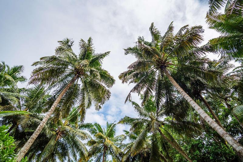 Waldorf Astoria Seychelles Platte Island image