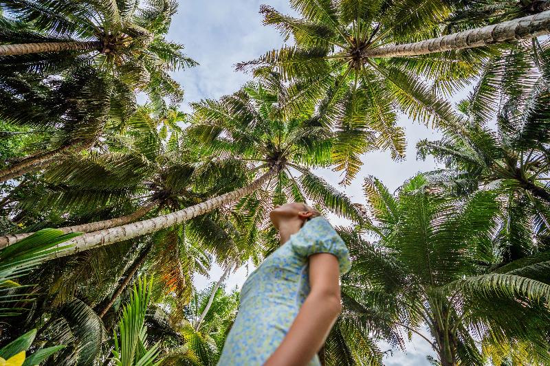 Waldorf Astoria Seychelles Platte Island image