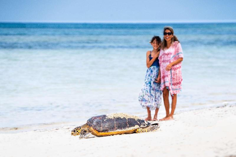 Waldorf Astoria Seychelles Platte Island image
