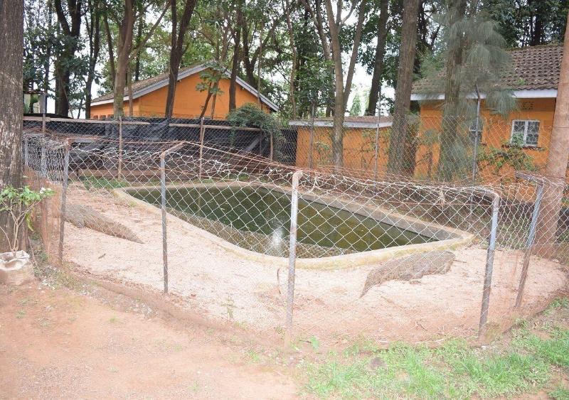 Mountainview Backpackers Kisumu image