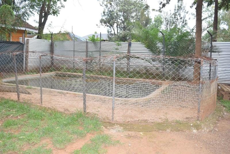 Mountainview Backpackers Kisumu image