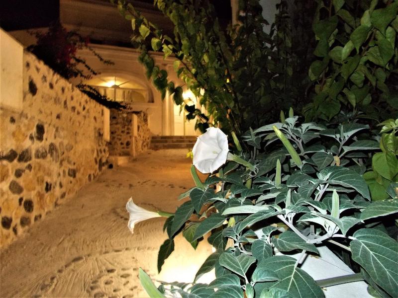 Loukas Kontos Traditional House