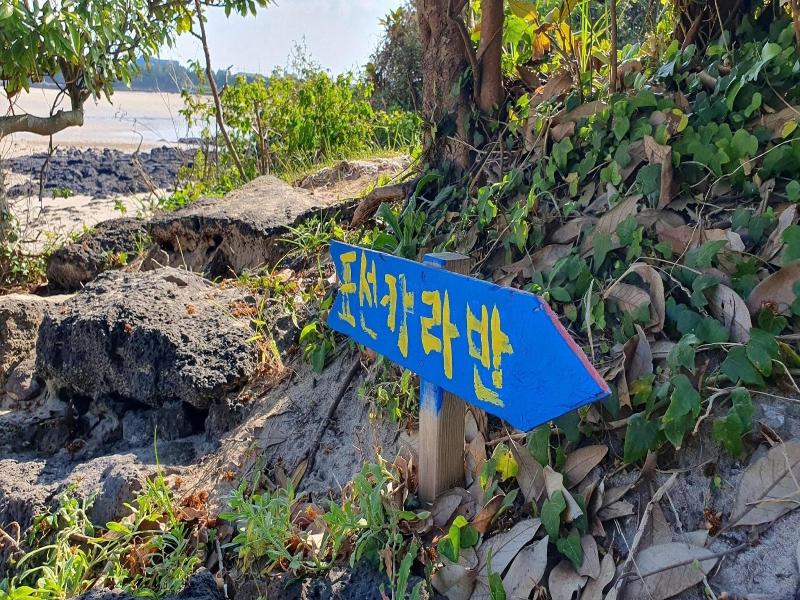 Seogwipo Pyoseoncaravan — photo 3