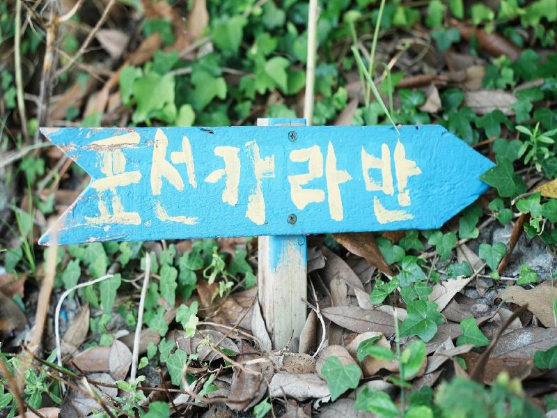 Seogwipo Pyoseoncaravan — photo 10