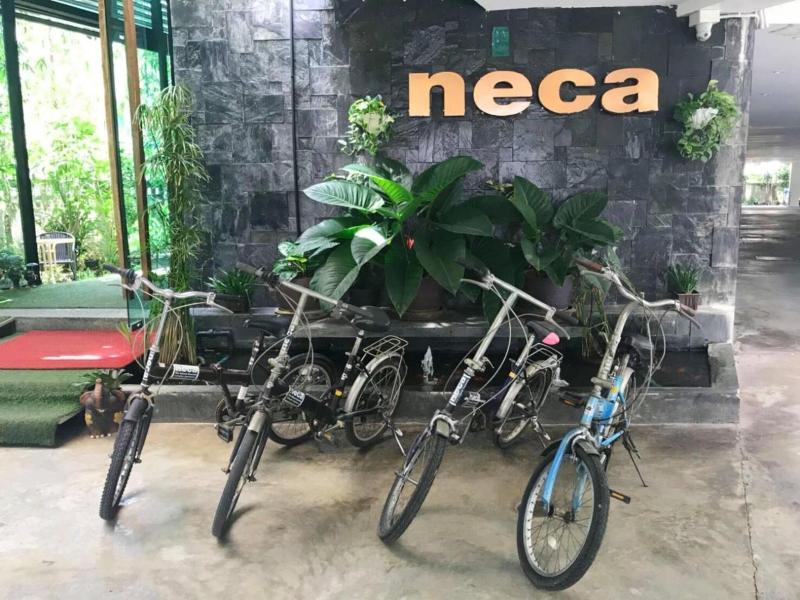 Neca Complex Apartment