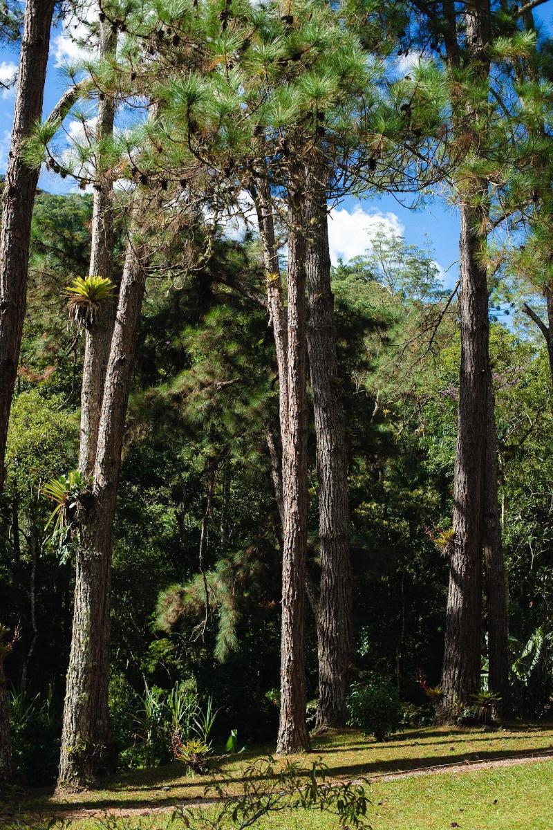 Amadamata Refugio Ecologico image