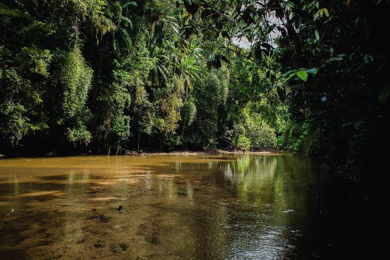 Amadamata Refugio Ecologico image