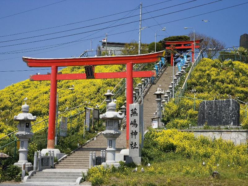 Hachinohe Plaza Hotel image