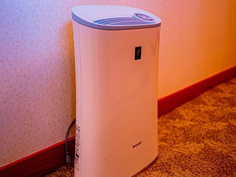 Hachinohe Plaza Hotel image