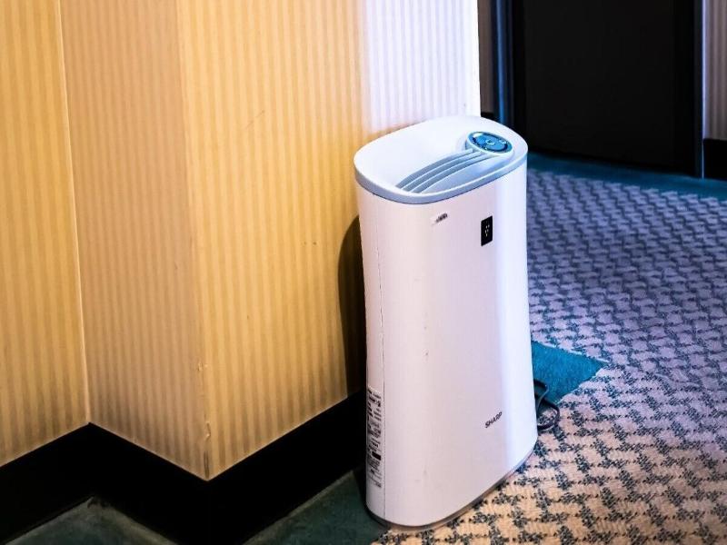 Hachinohe Plaza Hotel image