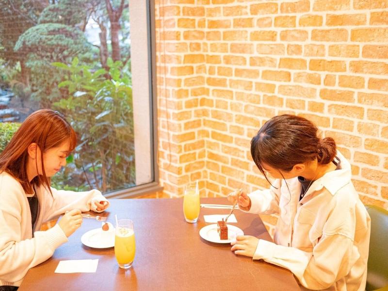 Hachinohe Plaza Hotel image