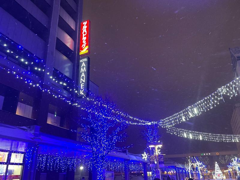Hotel Amanek Asahikawa