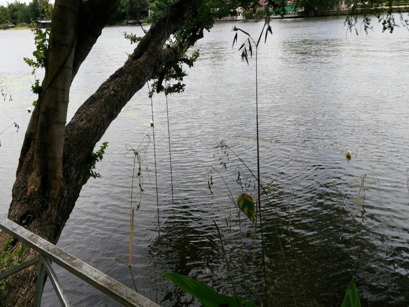Hadsaisuay Resort And Homestay image