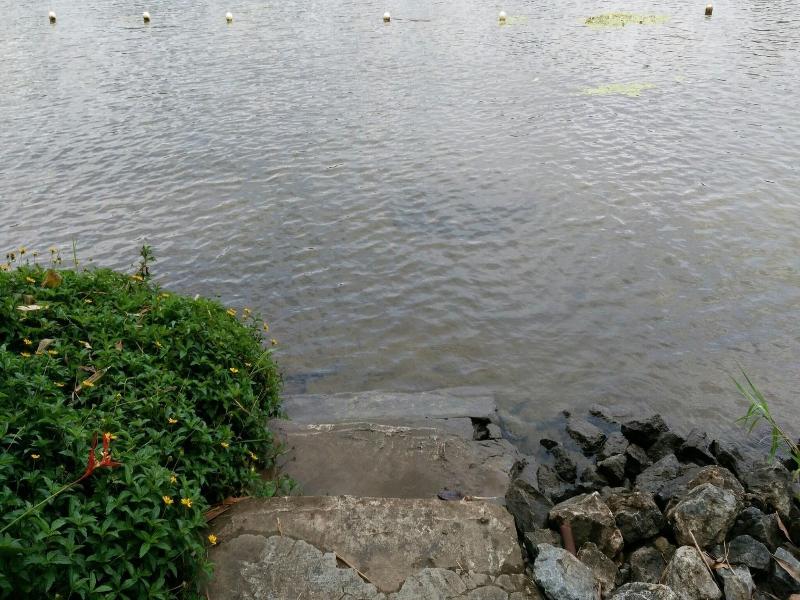 Hadsaisuay Resort And Homestay image