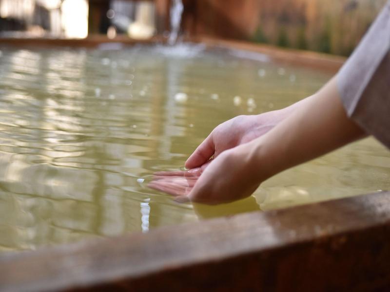 Kowakubi Onsen Ryokan Syohoen image