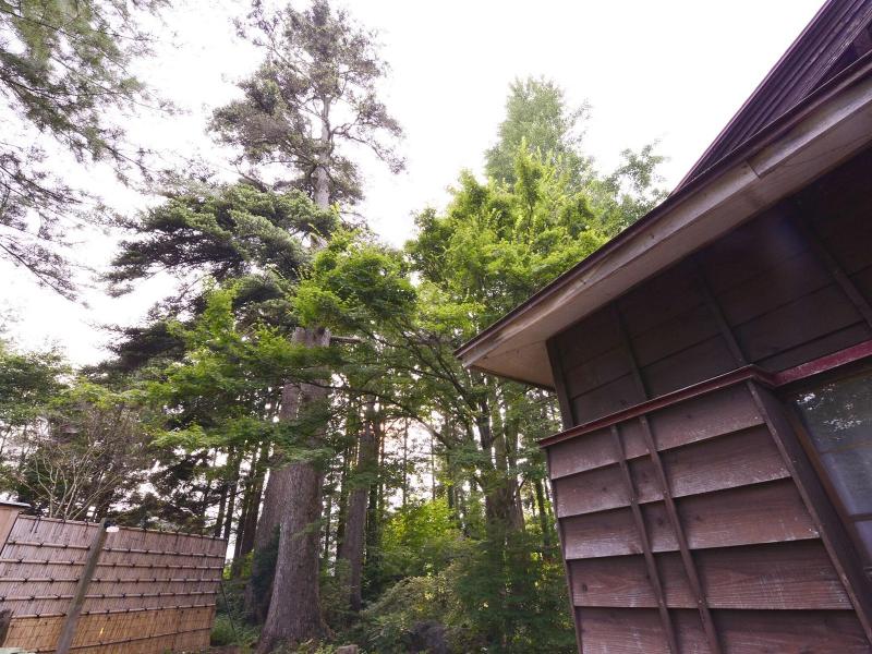 Kowakubi Onsen Ryokan Syohoen image