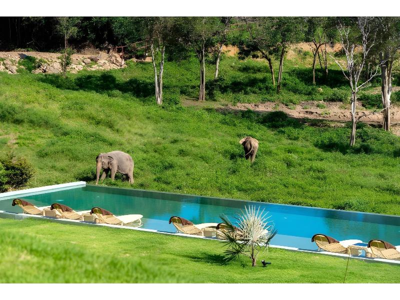Wild Cottages Elephant Sanctuary Resort image