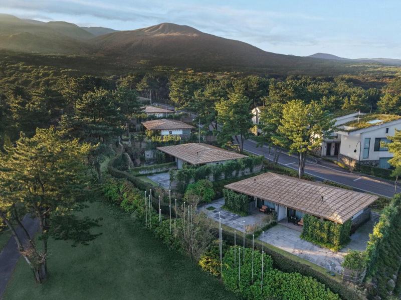Amber Pure Hill Hotels Resorts Jeju