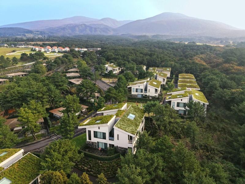 Amber Pure Hill Hotels Resorts Jeju