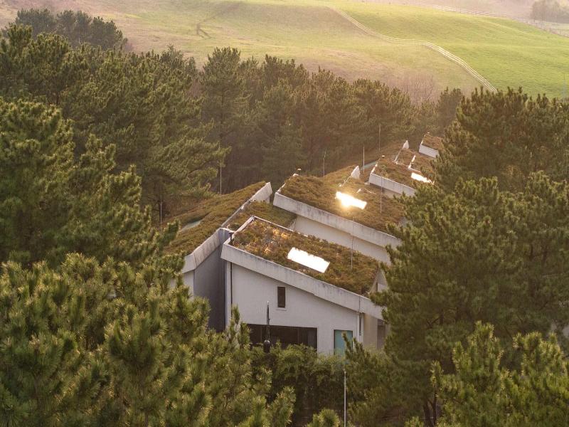 Amber Pure Hill Hotels Resorts Jeju
