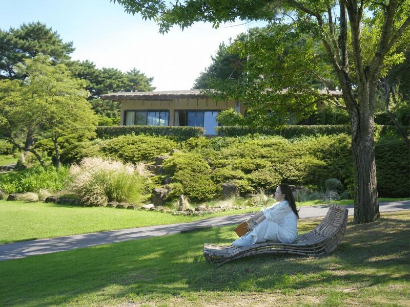 Amber Pure Hill Hotels Resorts Jeju