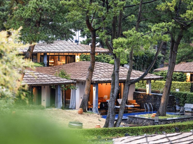 Amber Pure Hill Hotels Resorts Jeju — photo 22