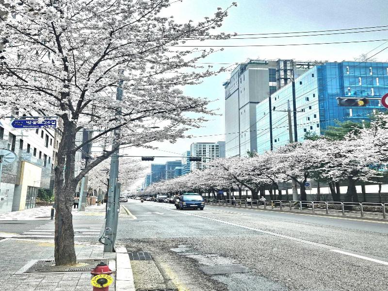 Homes Stay G Valley Gasan image