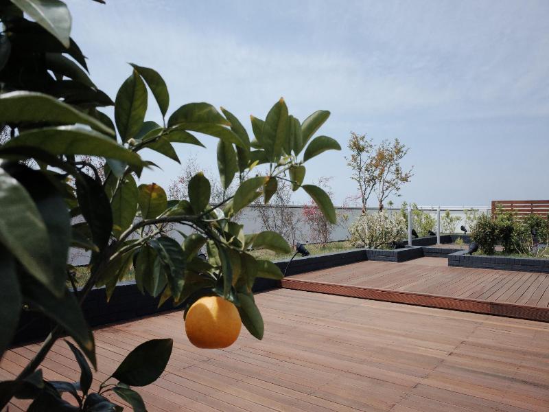 Hi Residences — photo 15