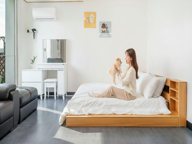 Chuncheon Dogandstay image
