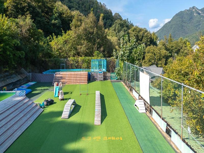 Chuncheon Dogandstay image