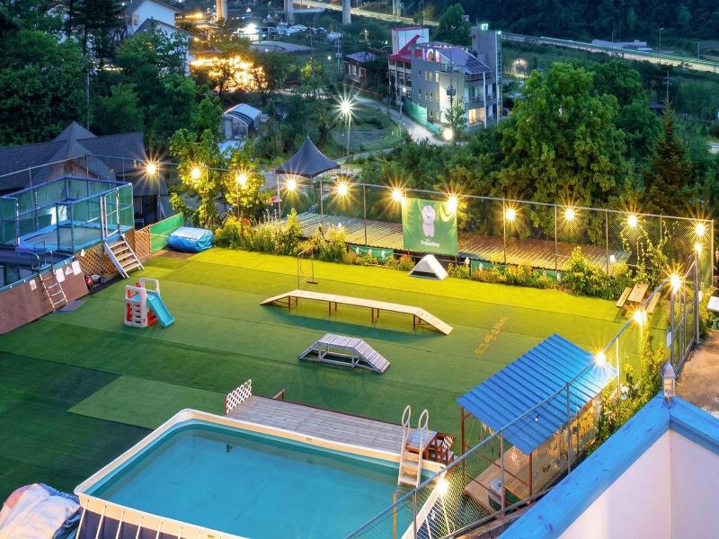 Chuncheon Dogandstay image
